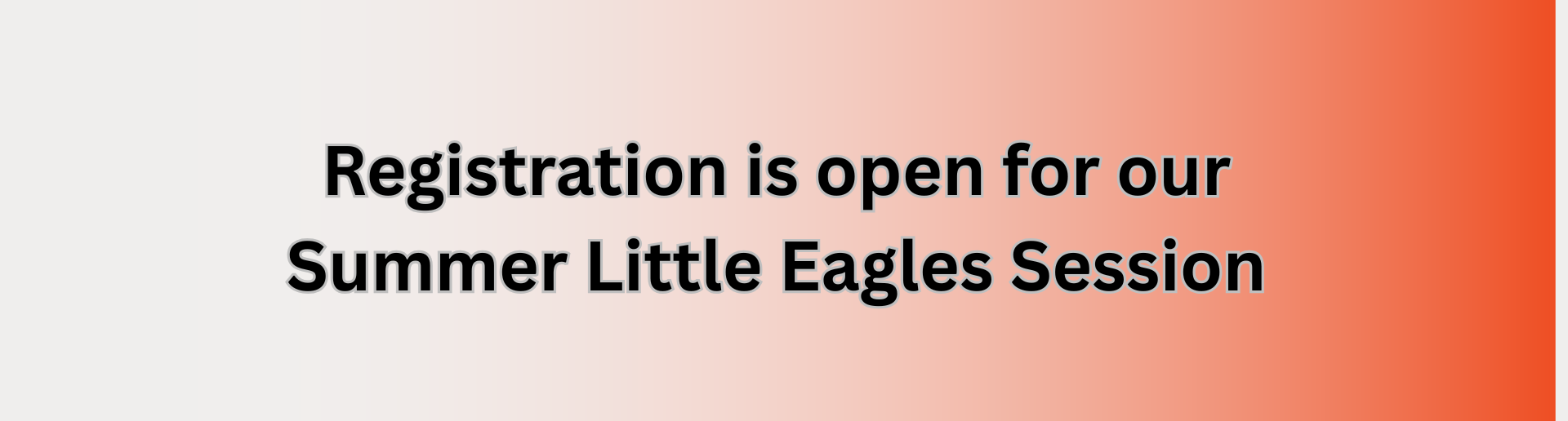 Summer Little Eagles